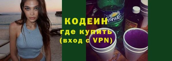 хмурый Лиски