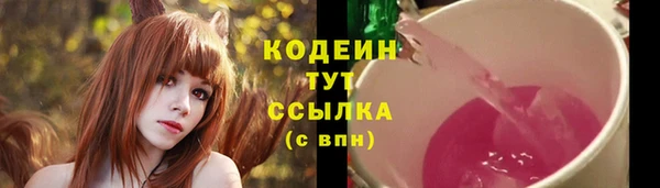 хмурый Лиски