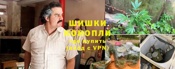 хмурый Лиски