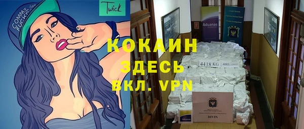 хмурый Лиски