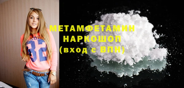 хмурый Лиски